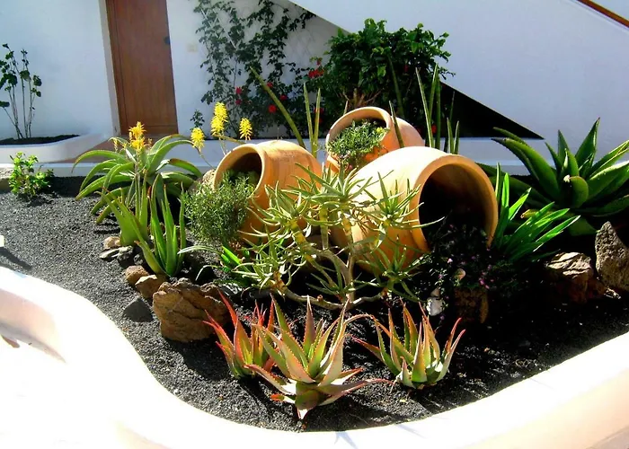 Tamarindos Puerto del Carmen (Lanzarote)