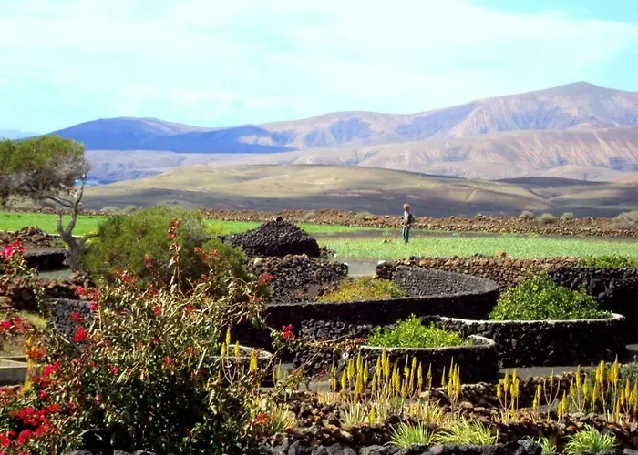 Tamarindos Apartamento Puerto del Carmen (Lanzarote)