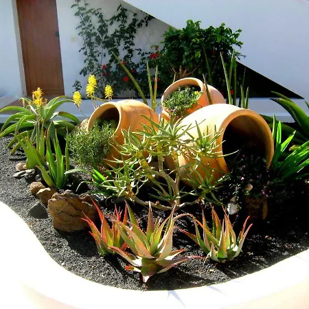 Tamarindos Пуэрто дель Кармен