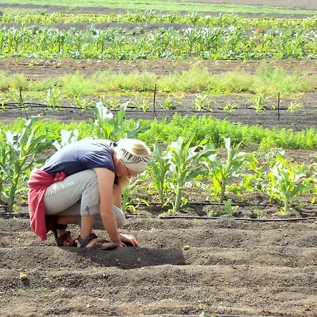 Tamarindos Апартаменты