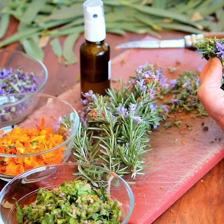 Tamarindos アパート プエルト・デル・カルメン