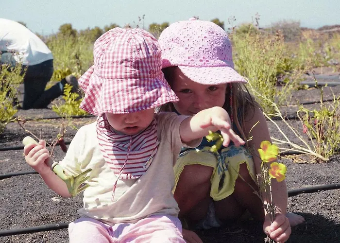 Tamarindos Appartamento
