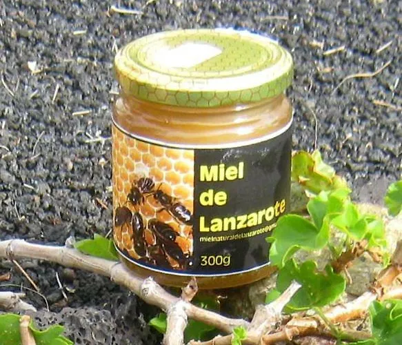 Tamarindos Apartmán