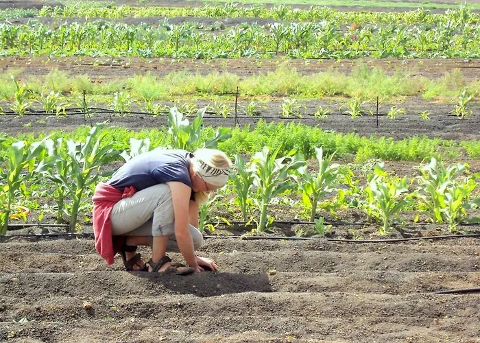 Tamarindos Appartamento