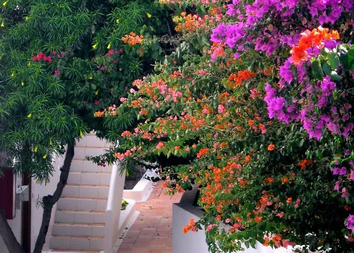 Tamarindos بويرتو ذيل كارمين