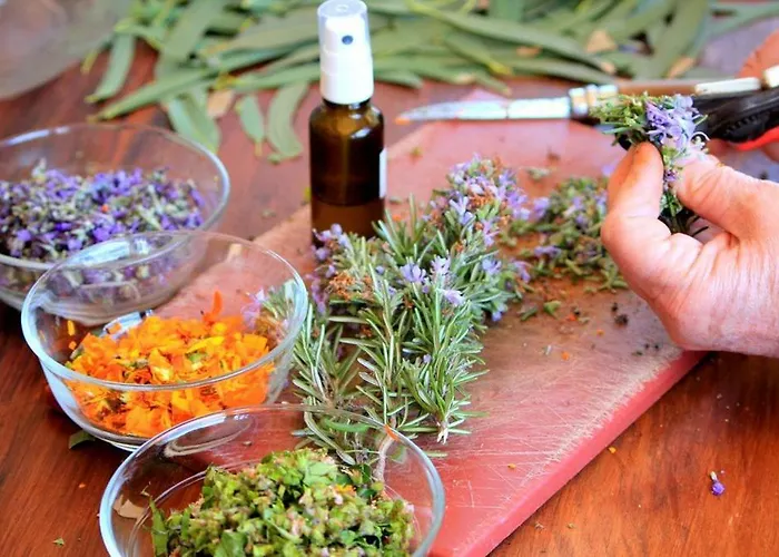 Tamarindos شقة بويرتو ذيل كارمين