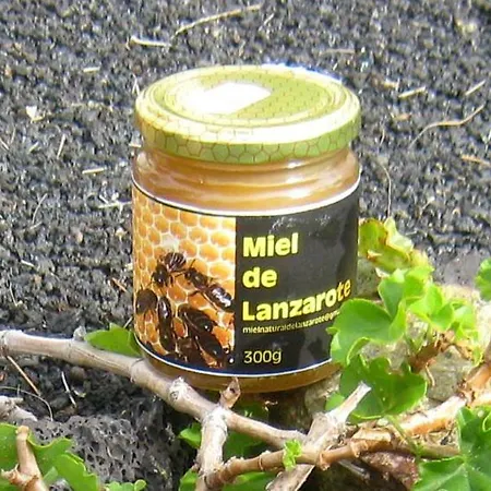 Tamarindos Appartamento