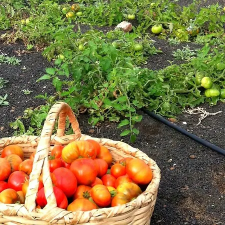 Tamarindos Appartamento *