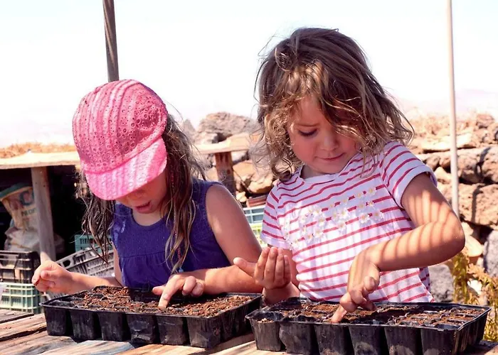 Appartement Tamarindos *