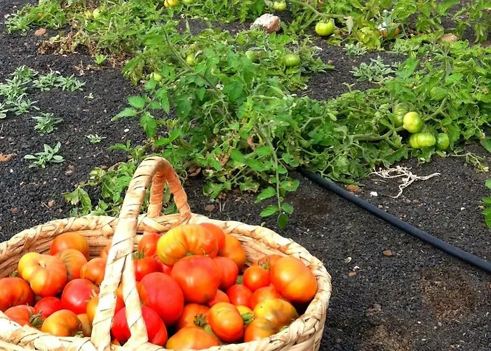 Tamarindos Appartement *